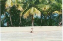 1997 martinique 024