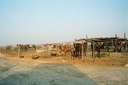 2001 qatar 003