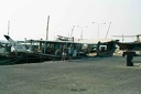 2001 qatar 015