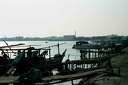 2001 qatar 017