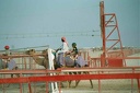 2001 qatar 051