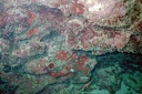 2002 guadeloupe 015