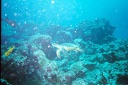 2003 maldives 021