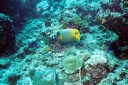 2003 maldives 047