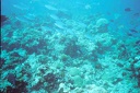 2003 maldives 052