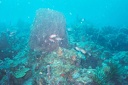 2003 martinique 005