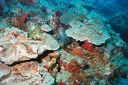 2003 martinique 012