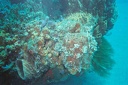 2003 martinique 019