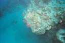 2003 martinique 028