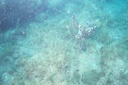 2003 martinique 048