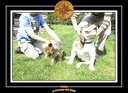 Yoda 2006 Jardin 033