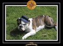 Yoda 2006 Jardin 046