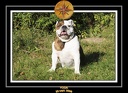 Yoda 2008 Promenade 023