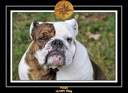 Yoda 2008 Promenade 044