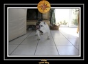 Yoda 2010 Seance photo maison 006