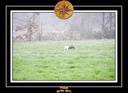 Derniere serie en promenade 003