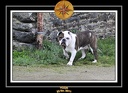 Derniere serie en promenade 022
